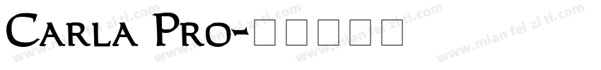 Carla Pro字体转换